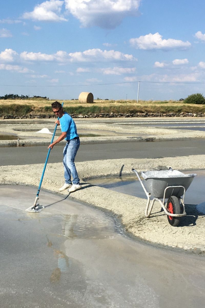 Recolte de sel en Vendée